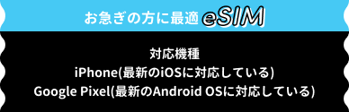 eSIM登場！
