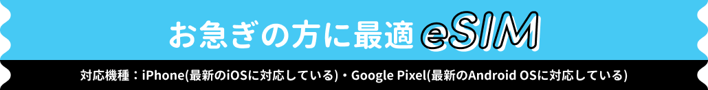 eSIM登場！