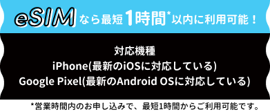 eSIM登場！