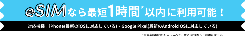 eSIM登場！