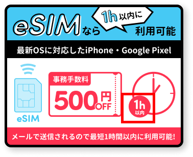 eSIM登場！