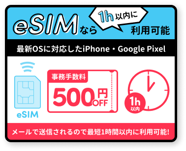 eSIM登場！