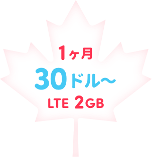 1ヶ月｜LTE 7GB 35ドル〜